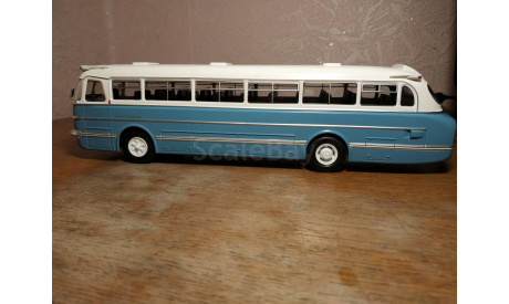 Ikarus 55 С рубля без резерва!!!, масштабная модель, Classicbus, scale43