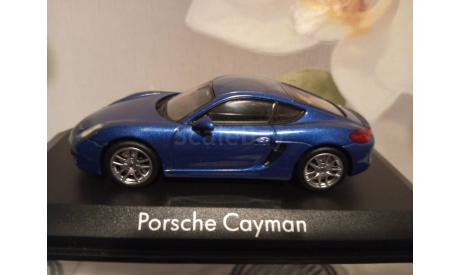 Porsche Cayman  2013 Blue, масштабная модель, Norev, scale43