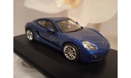 Porsche Cayman  2013 Blue, масштабная модель, Norev, scale43