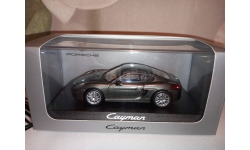 Porsche Cayman (981) 2013 Grey