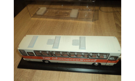 Икарус 250.58 Для Авиапассажиров, масштабная модель, Ikarus, ClassicBus, scale43