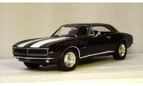 Chevrolet Camaro Z/28 RS (MCACN) 1967, масштабная модель, ERTL (Auto World), 1:18, 1/18