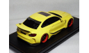 BMW M235 MTC Black Sails Widebody DarwinPRO F22 2015, масштабная модель, GLM, scale18