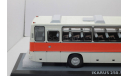 Ikarus 250.58 Икарус Classicbus (1981), масштабная модель, scale43