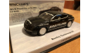 Bentley Continental GT Ice Record Minichamps 1-43 (лот в мск), масштабная модель, 1:43, 1/43