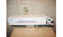 Mercedes-Benz Actros 1844 LS *Hammer Aachen* АВТОПОЕЗД Масштабная модель 1/43, масштабная модель, Minichamps, scale43