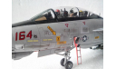 Модель самолета 1/48 F-14D Tomcat, масштабные модели авиации, scale48, ЛА