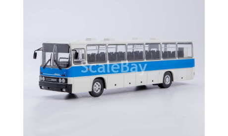 Автобус икарус 250.59, масштабная модель, Советский Автобус, scale43, Ikarus