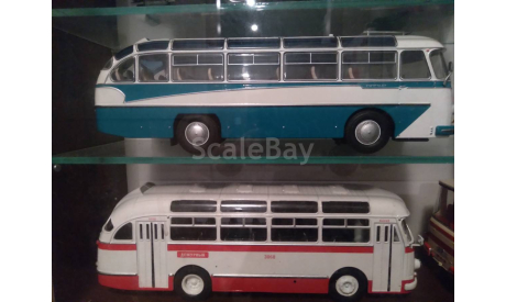 Автобус лаз 695 Е, масштабная модель, Classicbus, scale43