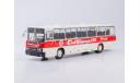 Автобус икарус 250.59, масштабная модель, Советский Автобус, scale43, Ikarus