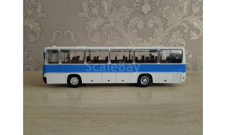 Автобус икарус 256, масштабная модель, MODIMIO, scale43, Ikarus
