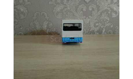 Автобус ГОЛАЗ-4242, масштабная модель, MODIMIO, scale43