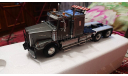 Модель WSI 1:50, масштабная модель, scale50, Western Star