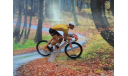 Фигурка велосепидиста Rennrad mit Figur-Maillot Jaune №1 Tour de France от производителя Norev в 1:43 масштабе, фигурка, scale43