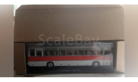 Икарус 250.58, масштабная модель, Ikarus, Classicbus, scale43