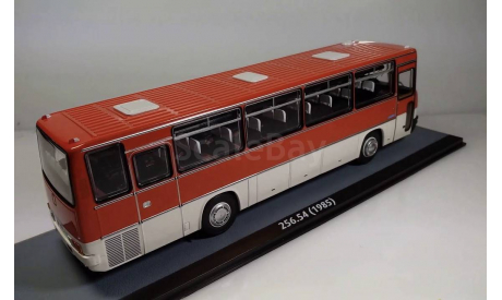 Икарус-256.54 и 250.59, масштабная модель, Ikarus, Classicbus, scale43