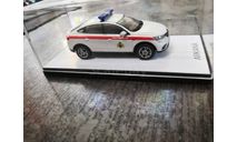 RENAULT-ARKANA   РОСГВАРДИЯ, масштабная модель, Конверсии мастеров-одиночек, scale43, ГАЗ