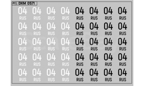 Декаль. Дублирующие знаки России Республика Алтай (Горный Алтай) (100х70) DKM0571, фототравление, декали, краски, материалы, maksiprof, КамАЗ, scale43