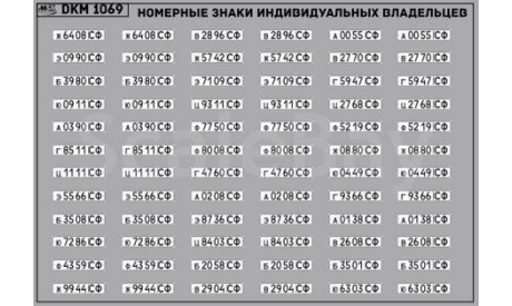 Декаль. Набор декалей Номерные знаки индивидуальных владельцев Свердловская область (100х65). DKM1069, фототравление, декали, краски, материалы, maksiprof, МАЗ, scale43