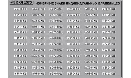 Декаль. Набор декалей Номерные знаки индивидуальных владельцев Куйбышевская область (100х65). DKM1070, фототравление, декали, краски, материалы, maksiprof, МАЗ, scale43