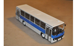 Икарус-260.51 Наши автобусы №81
