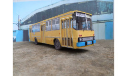 Ikarus 260.37