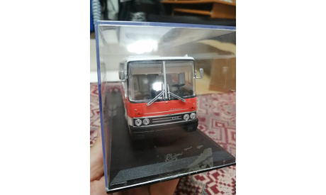 IKARUS 250.58, масштабная модель, Classicbus, scale43