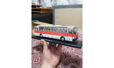 IKARUS 250.58, масштабная модель, Classicbus, scale43