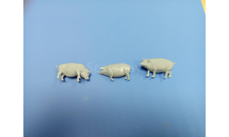 Свиньи 1:35 комплект 3 шт Смола  возможен обмен, масштабная модель, scale35