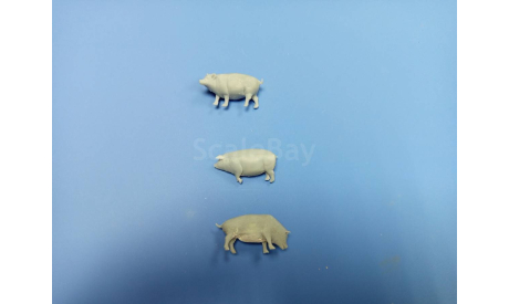 Свиньи 1:43 комплект 3 шт Смола  возможен обмен, масштабная модель, scale43