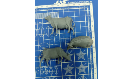 Набор Коров 1:35, 3 шт., Смола  возможен обмен, сборная модель (другое), scale35