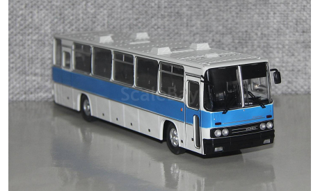 Икарус-250.59. СОВА., масштабная модель, Советский Автобус, scale43, Ikarus