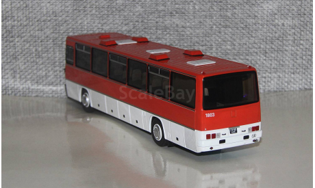 Автобус Икарус Ikarus-250.59 Сафлоровый. DEMPRICE., масштабная модель, Classicbus, scale43