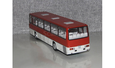 Автобус Икарус Ikarus-256.54 с номерами Гренадин. Demprice., масштабная модель, Classicbus, scale43