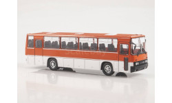 Икарус-256. Наши автобусы №31.