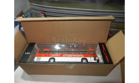 Автобус Икарус 256.54 СТАВРОПОЛЬ - КБ, масштабная модель, Ikarus, Classicbus, 1:43, 1/43
