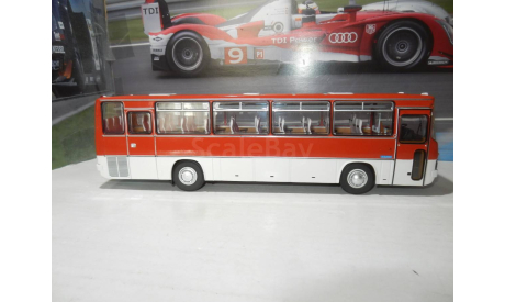 Автобус Икарус-256.51 гренадин, масштабная модель, DEMPRICE, scale43, Ikarus