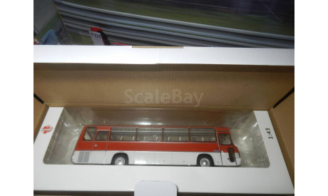 Автобус Икарус-256.51 гренадин, масштабная модель, Ikarus, DEMPRICE, 1:43, 1/43
