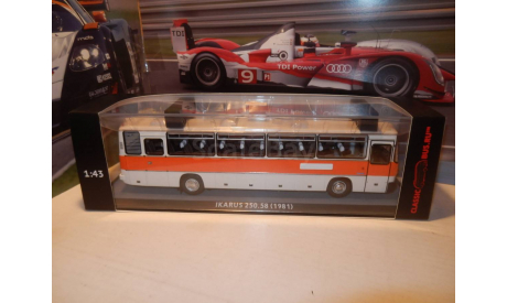 Автобус Икарус-250.58 чистый КБ, масштабная модель, Ikarus, Classicbus, 1:43, 1/43