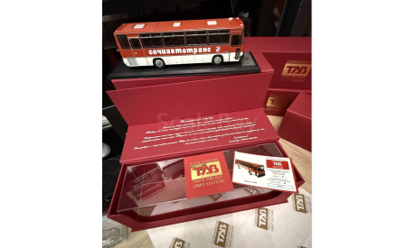 ЛИМИТИРОВАННЫЙ ИКАРУС 256.54 СОЧИАВТОТРАНС, масштабная модель, Ikarus, DEMPRICE, scale43