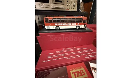 ЛИМИТИРОВАННЫЙ ИКАРУС 256.54 СОЧИАВТОТРАНС, масштабная модель, Ikarus, DEMPRICE, scale43
