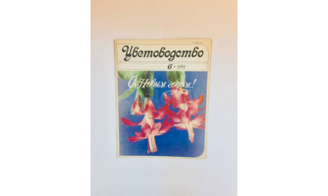 Журнал Цветоводство № 6 1981 год СССР Винтаж, масштабные модели (другое)