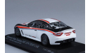 Мазерати Maserati MC GT4 Test Car Trofeo GranTurismo MC 2010 Minichamps 1:43 400101201, масштабная модель, scale43