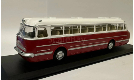 автобус Икарус Ikarus 55.14 бело-бордовый СССР ClassicBus 1:43 Раритет Ранний, масштабная модель, scale43