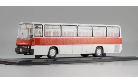 Икарус-256.51  1981 г., масштабная модель, Ikarus, Classicbus, scale43