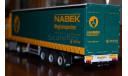 9405 - DAF XF SC105 4x2 Nabek - WSI, масштабная модель, scale50