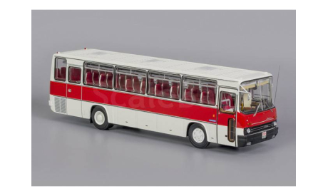 IKARUS 256.51 (1981), бело-бордовый ClassicBus, масштабная модель, scale43