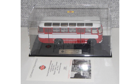 ПАЗ-652 ’Одесса-Заказной’.DIP Models., масштабная модель, scale43
