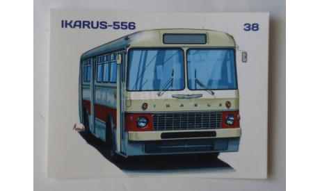 Наклейка ’Наши автобусы’ №38 Ikarus-556, масштабная модель, MODIMIO, scale43