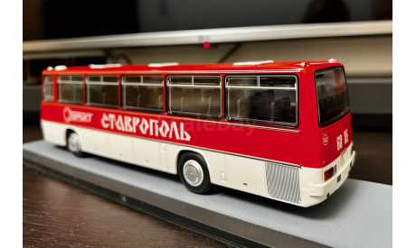 Автобус Икарус ( IKARUS) -256.54 СТАВРОПОЛЬ, масштабная модель, Classicbus, scale43